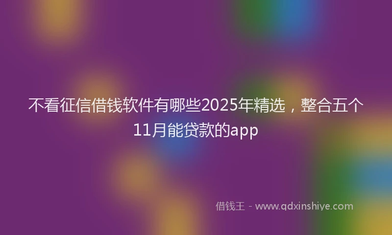 不看征信借钱软件有哪些2025年精选，整合五个11月能贷款的app