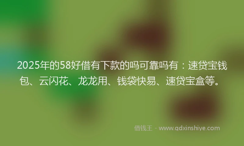 2025年的58好借有下款的吗可靠吗有：速贷宝钱包、云闪花、龙龙用、钱袋快易、速贷宝盒等。
