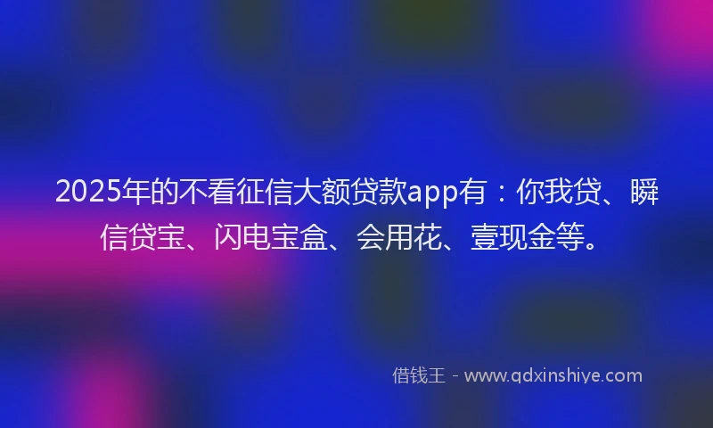 2025年的不看征信大额贷款app有：你我贷、瞬信贷宝、闪电宝盒、会用花、壹现金等。
