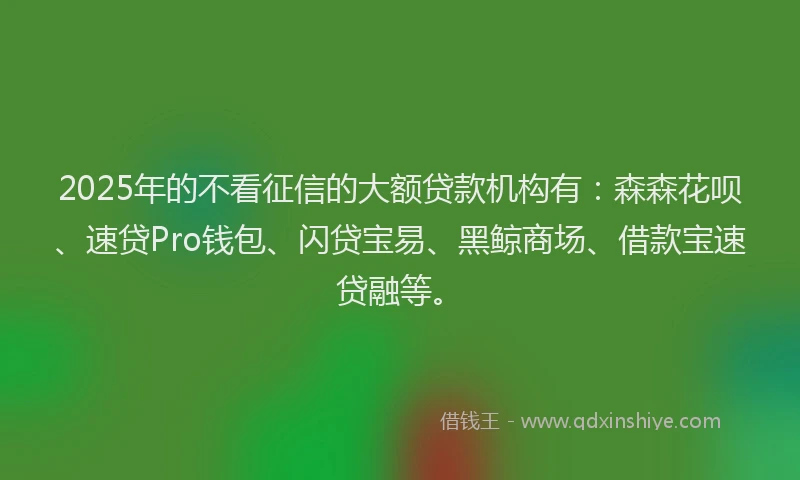 2025年的不看征信的大额贷款机构有：森森花呗、速贷Pro钱包、闪贷宝易、黑鲸商场、借款宝速贷融等。