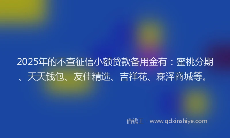 2025年的不查征信小额贷款备用金有：蜜桃分期、天天钱包、友佳精选、吉祥花、森泽商城等。