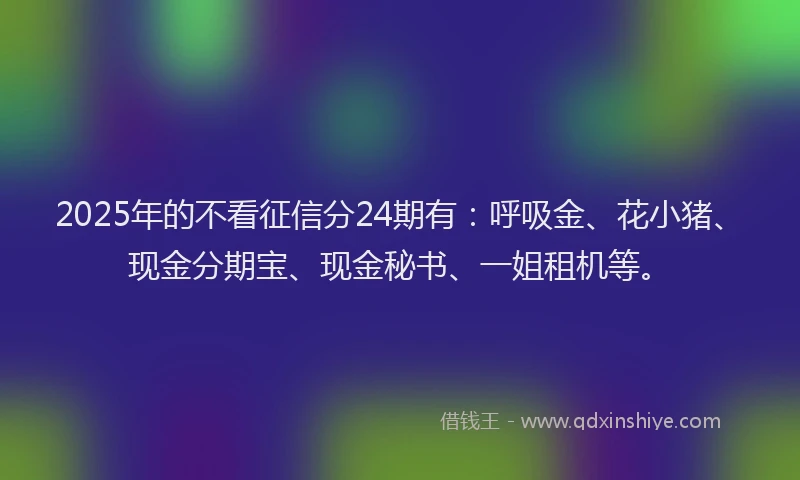 2025年的不看征信分24期有：呼吸金、花小猪、现金分期宝、现金秘书、一姐租机等。