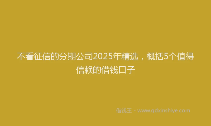 不看征信的分期公司2025年精选，概括5个值得信赖的借钱口子