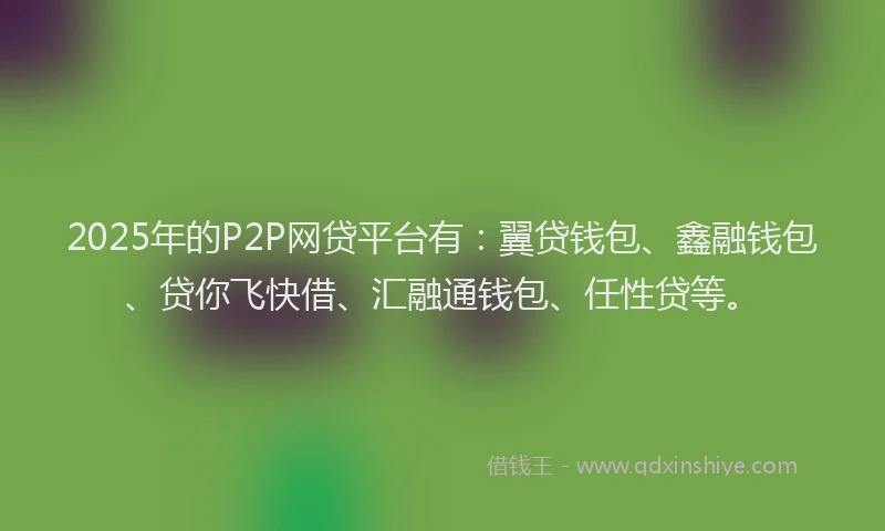 2025年的P2P网贷平台有：翼贷钱包、鑫融钱包、贷你飞快借、汇融通钱包、任性贷等。