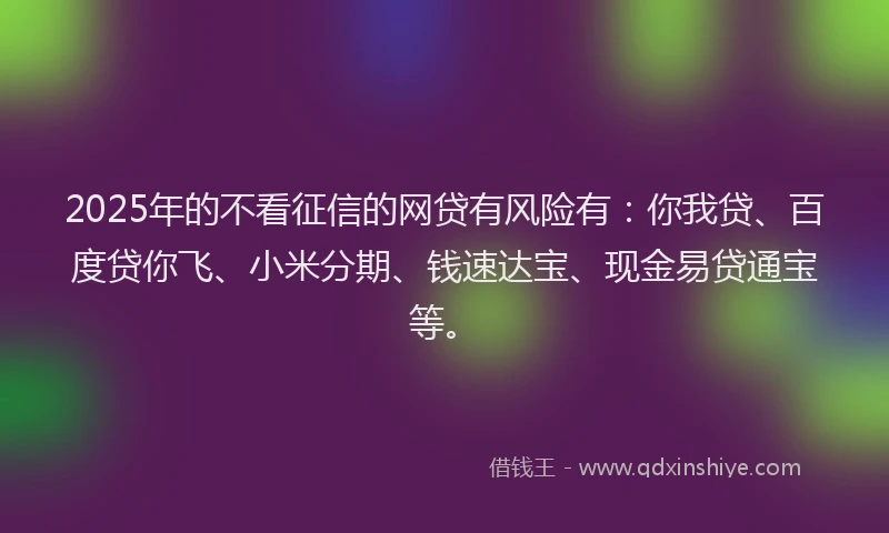 2025年的不看征信的网贷有风险有：你我贷、百度贷你飞、小米分期、钱速达宝、现金易贷通宝等。