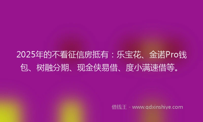 2025年的不看征信房抵有：乐宝花、金诺Pro钱包、树融分期、现金侠易借、度小满速借等。