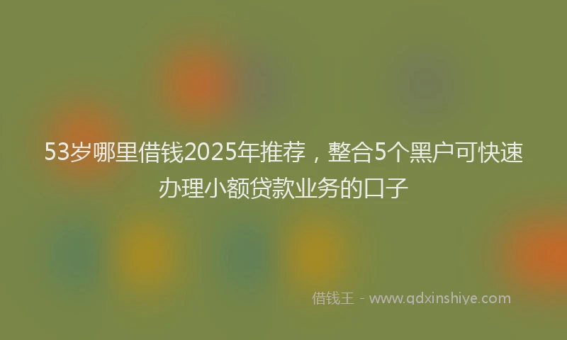 53岁哪里借钱2025年推荐，整合5个黑户可快速办理小额贷款业务的口子