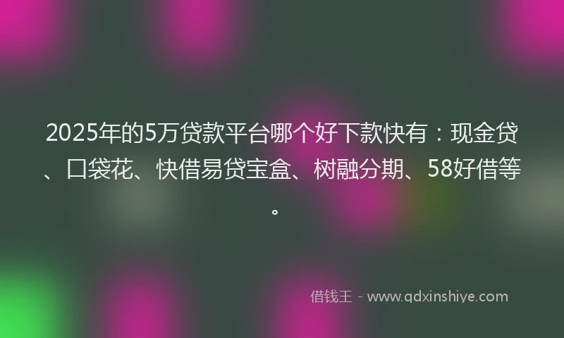 2025年的5万贷款平台哪个好下款快有：现金贷、口袋花、快借易贷宝盒、树融分期、58好借等。