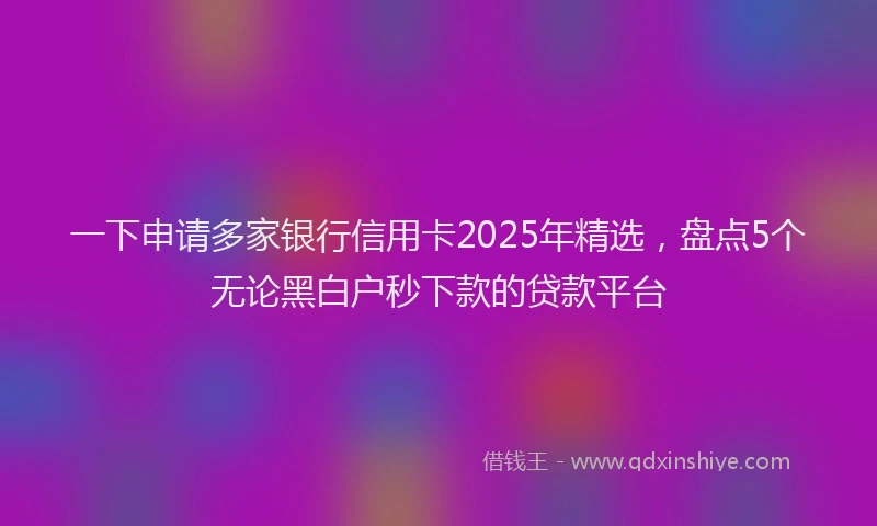 一下申请多家银行信用卡2025年精选，盘点5个无论黑白户秒下款的贷款平台