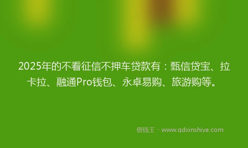 2025年的不看征信不押车贷款有：甄信贷宝、拉卡拉、融通Pro钱包、永卓易购、旅游购等。