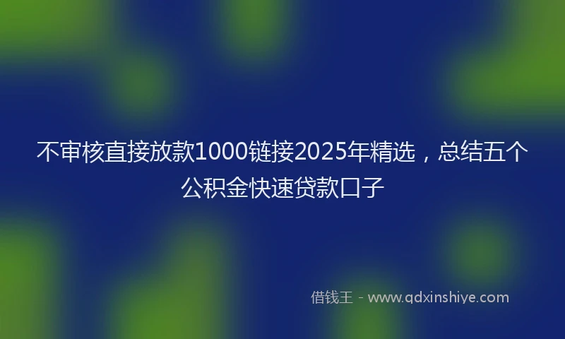不审核直接放款1000链接2025年精选，总结五个公积金快速贷款口子
