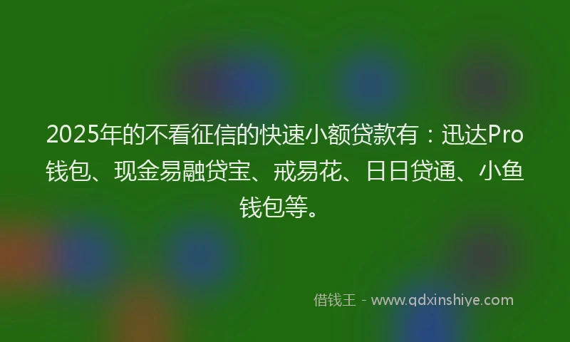 2025年的不看征信的快速小额贷款有：迅达Pro钱包、现金易融贷宝、戒易花、日日贷通、小鱼钱包等。