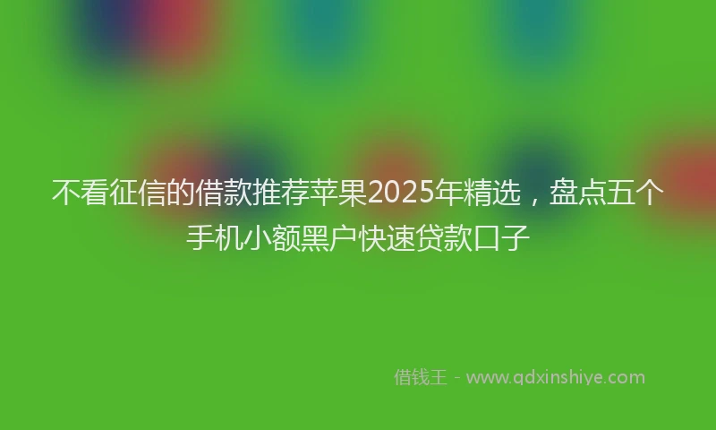 不看征信的借款推荐苹果2025年精选，盘点五个手机小额黑户快速贷款口子