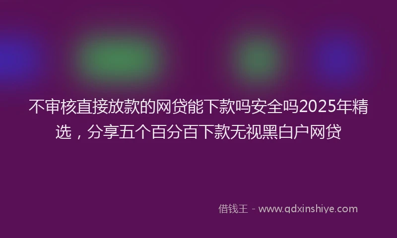 不审核直接放款的网贷能下款吗安全吗2025年精选，分享五个百分百下款无视黑白户网贷