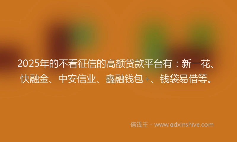 2025年的不看征信的高额贷款平台有：新一花、快融金、中安信业、鑫融钱包+、钱袋易借等。