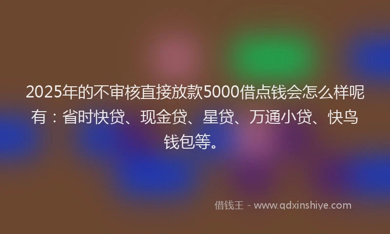 2025年的不审核直接放款5000借点钱会怎么样呢有：省时快贷、现金贷、星贷、万通小贷、快鸟钱包等。