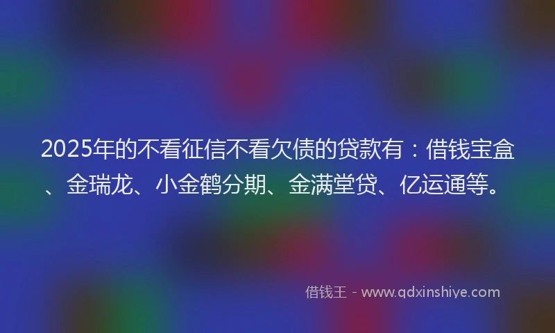 2025年的不看征信不看欠债的贷款有：借钱宝盒、金瑞龙、小金鹤分期、金满堂贷、亿运通等。
