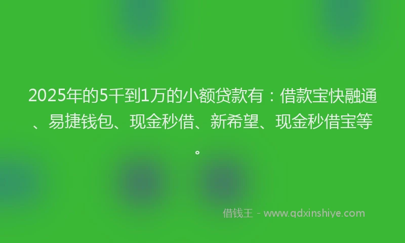 2025年的5千到1万的小额贷款有：借款宝快融通、易捷钱包、现金秒借、新希望、现金秒借宝等。