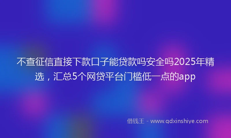 不查征信直接下款口子能贷款吗安全吗2025年精选，汇总5个网贷平台门槛低一点的app