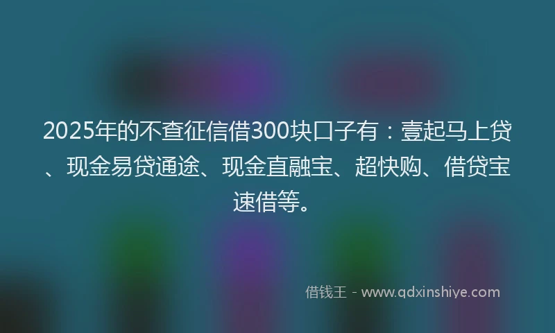 2025年的不查征信借300块口子有：壹起马上贷、现金易贷通途、现金直融宝、超快购、借贷宝速借等。