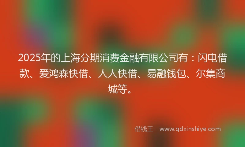 2025年的上海分期消费金融有限公司有：闪电借款、爱鸿森快借、人人快借、易融钱包、尔集商城等。