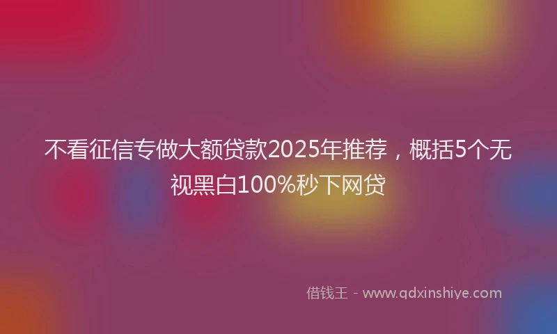 不看征信专做大额贷款2025年推荐，概括5个无视黑白100%秒下网贷