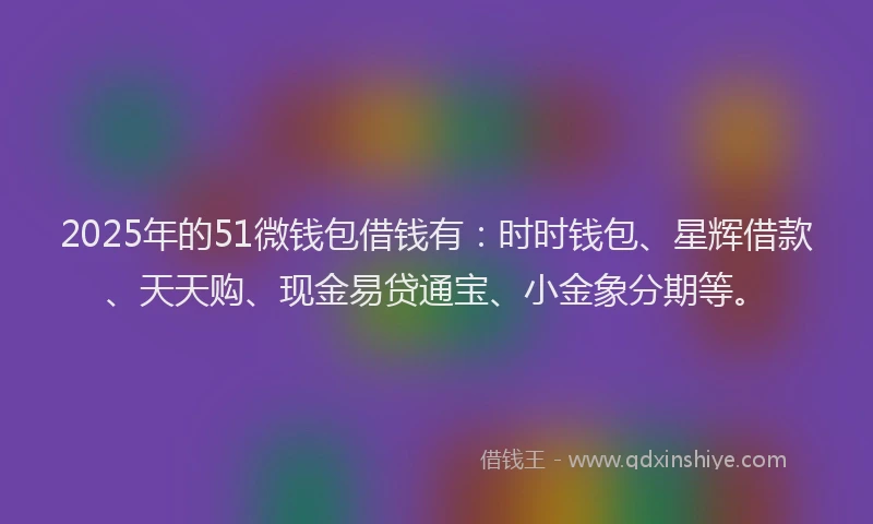 2025年的51微钱包借钱有：时时钱包、星辉借款、天天购、现金易贷通宝、小金象分期等。