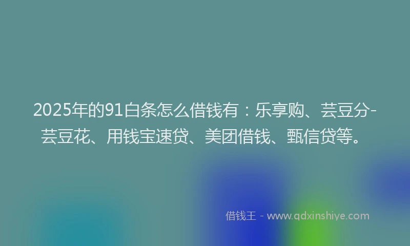 2025年的91白条怎么借钱有：乐享购、芸豆分-芸豆花、用钱宝速贷、美团借钱、甄信贷等。