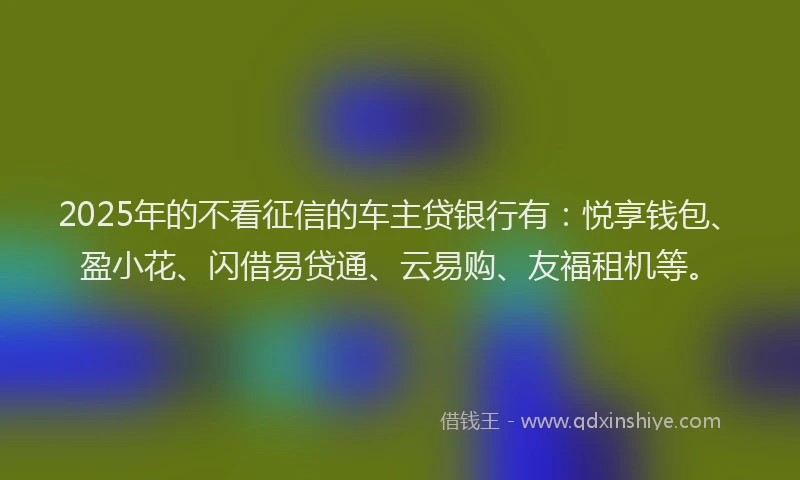 2025年的不看征信的车主贷银行有：悦享钱包、盈小花、闪借易贷通、云易购、友福租机等。