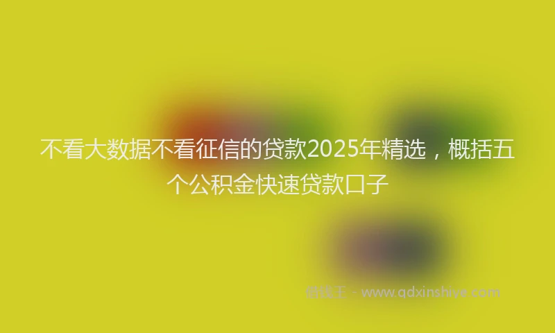 不看大数据不看征信的贷款2025年精选，概括五个公积金快速贷款口子