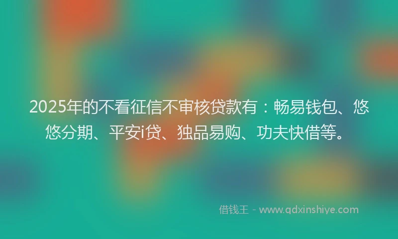 2025年的不看征信不审核贷款有：畅易钱包、悠悠分期、平安i贷、独品易购、功夫快借等。