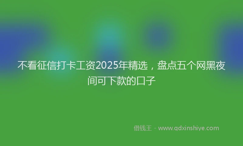 不看征信打卡工资2025年精选，盘点五个网黑夜间可下款的口子