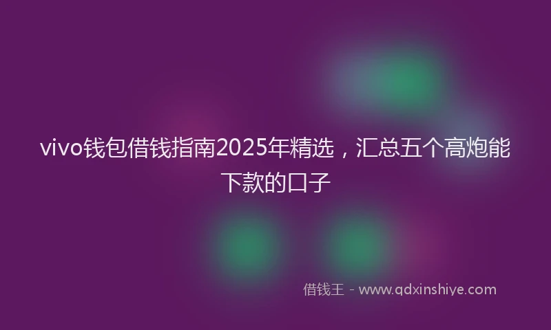 vivo钱包借钱指南2025年精选，汇总五个高炮能下款的口子