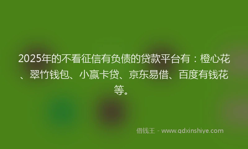 2025年的不看征信有负债的贷款平台有：橙心花、翠竹钱包、小赢卡贷、京东易借、百度有钱花等。