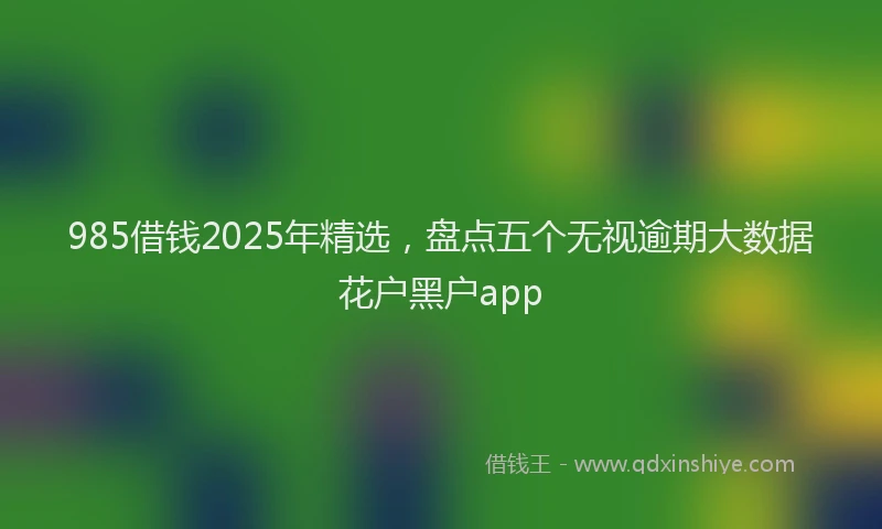 985借钱2025年精选，盘点五个无视逾期大数据花户黑户app