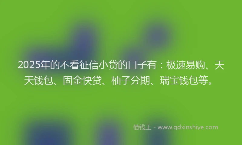 2025年的不看征信小贷的口子有：极速易购、天天钱包、固金快贷、柚子分期、瑞宝钱包等。