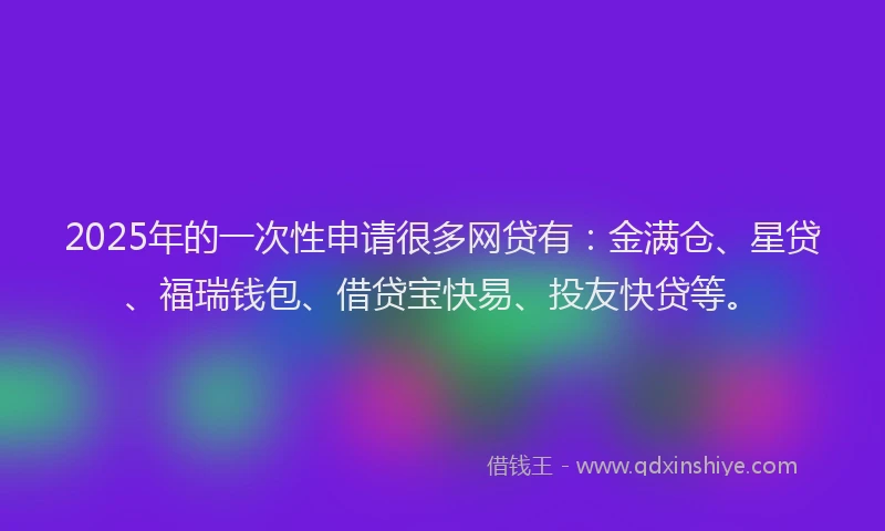 2025年的一次性申请很多网贷有：金满仓、星贷、福瑞钱包、借贷宝快易、投友快贷等。