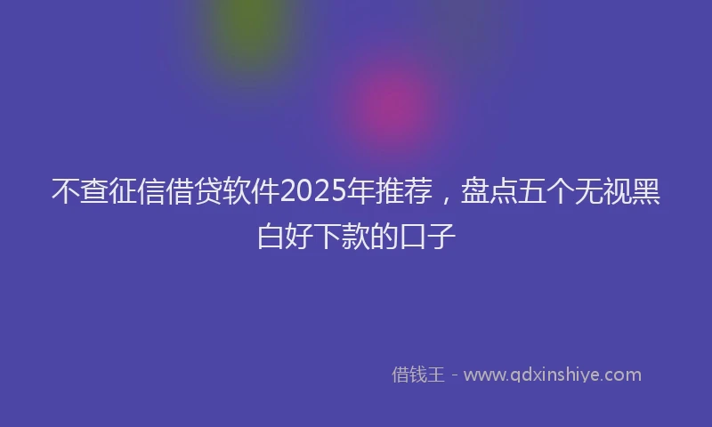 不查征信借贷软件2025年推荐，盘点五个无视黑白好下款的口子