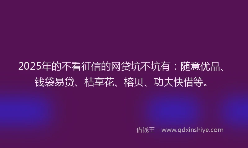 2025年的不看征信的网贷坑不坑有：随意优品、钱袋易贷、桔享花、榕贝、功夫快借等。