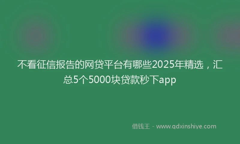 不看征信报告的网贷平台有哪些2025年精选，汇总5个5000块贷款秒下app