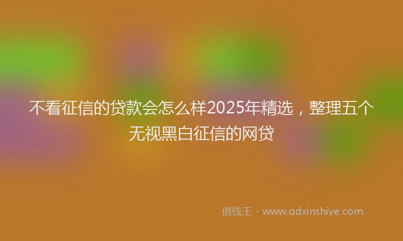 不看征信的贷款会怎么样2025年精选，整理五个无视黑白征信的网贷