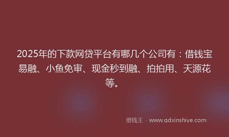 2025年的下款网贷平台有哪几个公司有：借钱宝易融、小鱼免审、现金秒到融、拍拍用、天源花等。