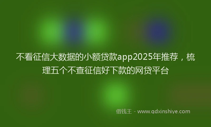 不看征信大数据的小额贷款app2025年推荐，梳理五个不查征信好下款的网贷平台