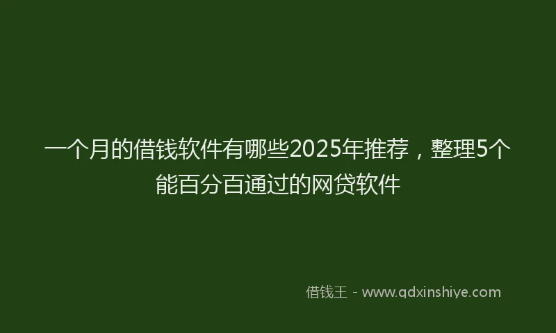 一个月的借钱软件有哪些2025年推荐，整理5个能百分百通过的网贷软件