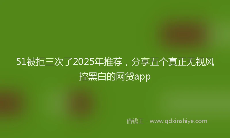 51被拒三次了2025年推荐，分享五个真正无视风控黑白的网贷app