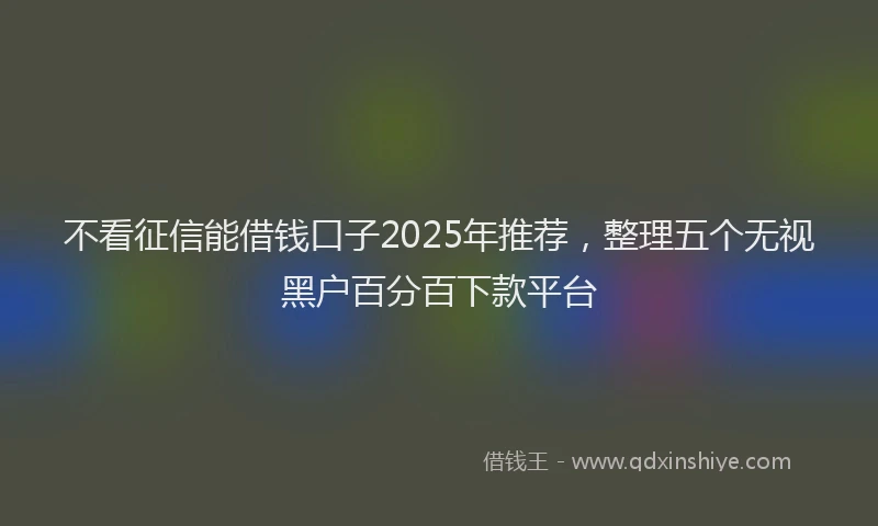 不看征信能借钱口子2025年推荐，整理五个无视黑户百分百下款平台