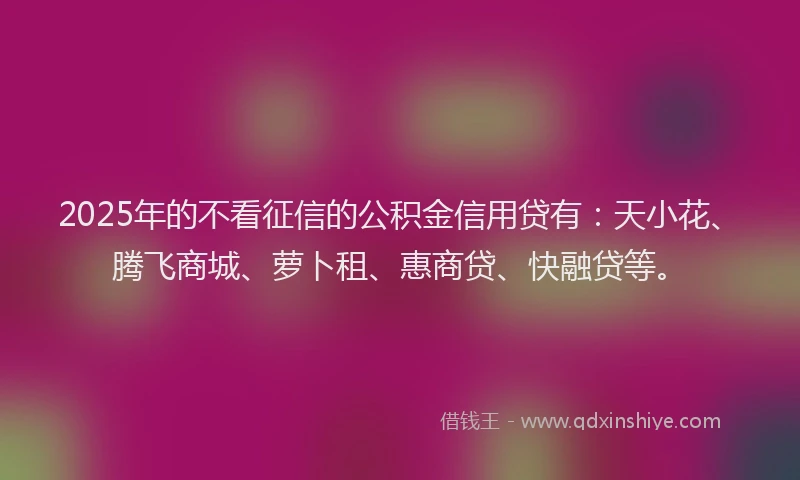 2025年的不看征信的公积金信用贷有：天小花、腾飞商城、萝卜租、惠商贷、快融贷等。