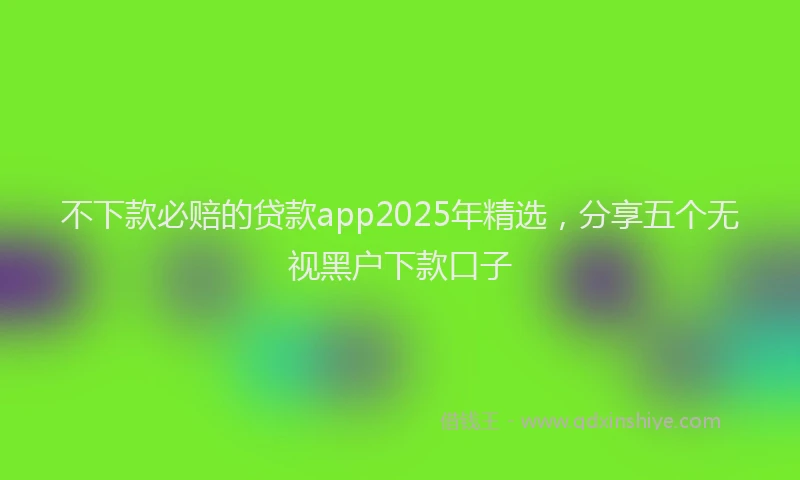 不下款必赔的贷款app2025年精选，分享五个无视黑户下款口子
