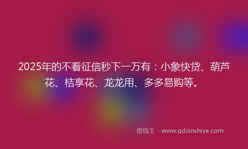 2025年的不看征信秒下一万有：小象快贷、葫芦花、桔享花、龙龙用、多多易购等。