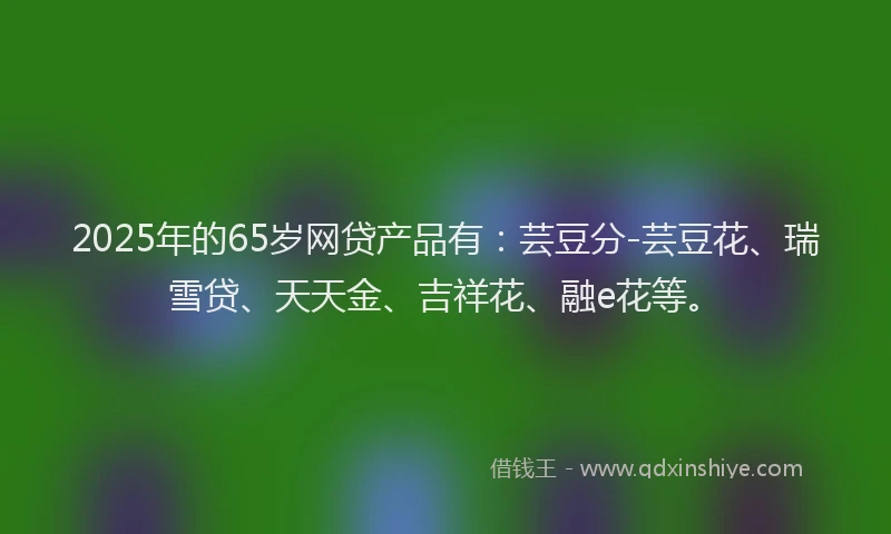 2025年的65岁网贷产品有：芸豆分-芸豆花、瑞雪贷、天天金、吉祥花、融e花等。